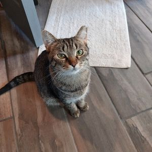 Meet your Posher, Austin